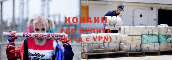 крисы Белокуриха