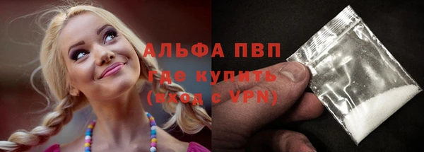 шишки Беломорск