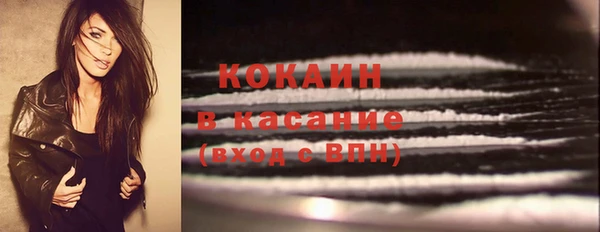 крисы Белокуриха