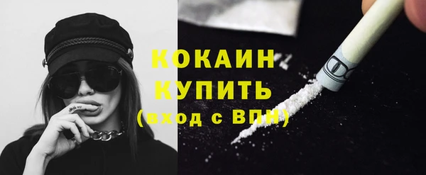 крисы Белокуриха