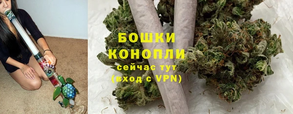 шишки Беломорск