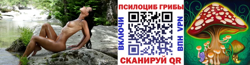 Галлюциногенные грибы GOLDEN TEACHER  Курганинск 
